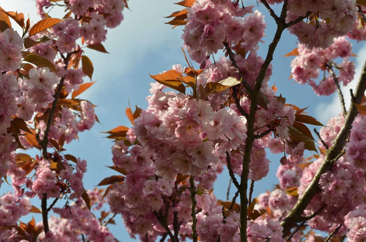 2014-04-30 16-13-39.JPG